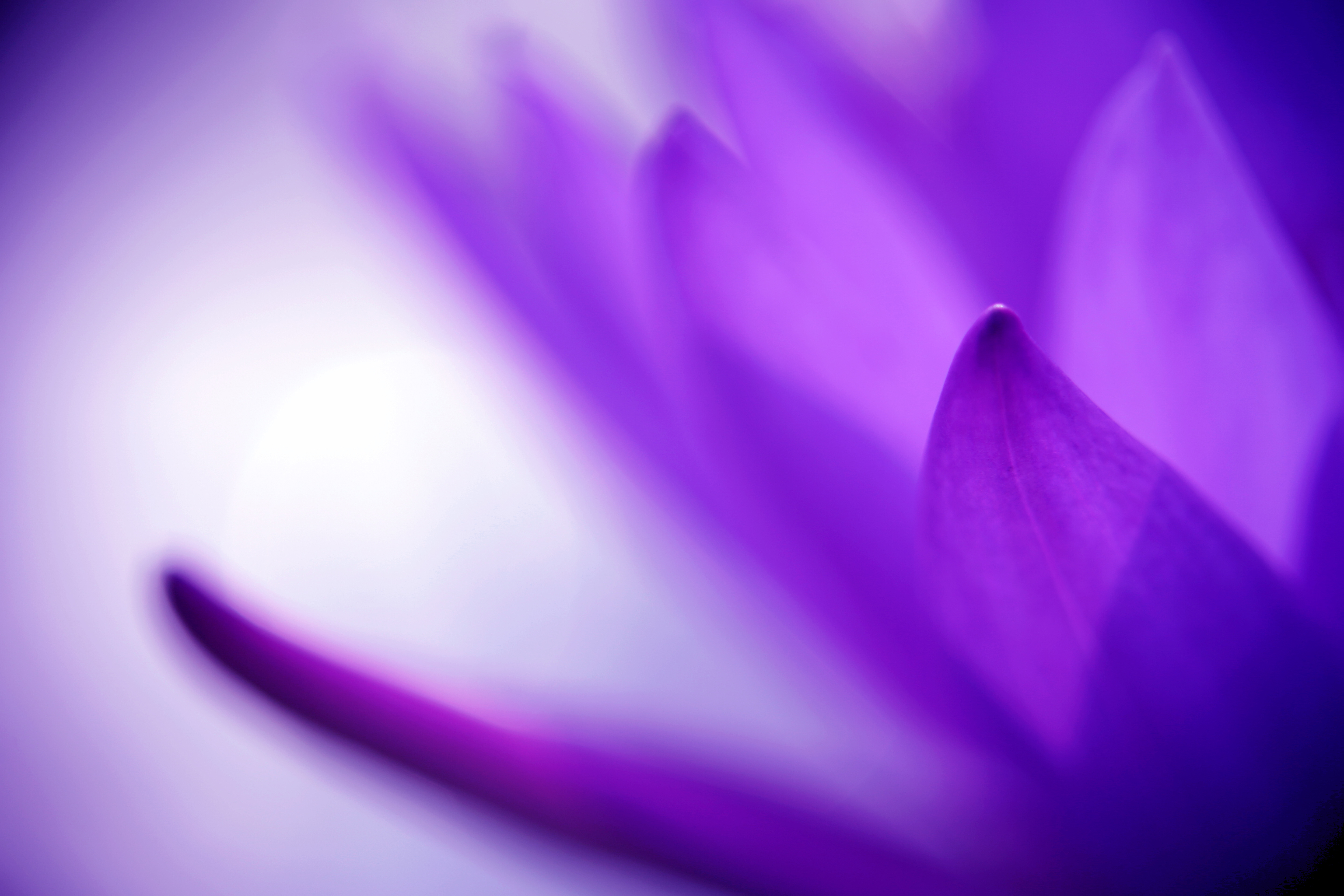 Careers | Career Opportunities